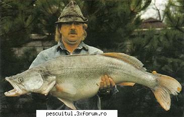 salaul pescuitul salaului metode pescuit recordul rod & 18,70 (41 oz)length: 116 (46 danube MEMBRU DE ONOARE