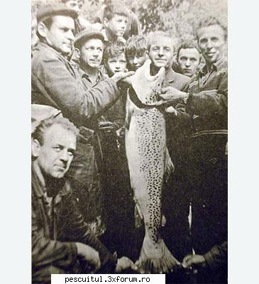 pastrav pescuitul recordul other 25,50 (56 oz)length: 124 (49 lokve reservoir, 1958caught by: MEMBRU DE ONOARE