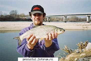 morunas pescuitul recordul rod & 1,70 oz)length: approx. (approx. drau river, 2007caught by: MEMBRU DE ONOARE