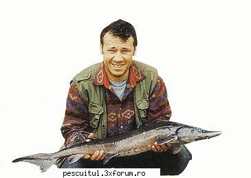 cega totul depre cega recordul rod & 4,20 oz)length: 101 (40 lake asv 1999caught by: adalbert MEMBRU DE ONOARE