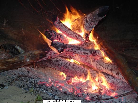 pescar hoinar arges 18,19,20 iunie pregatit foc pt. incalzirea sufletului spiritului