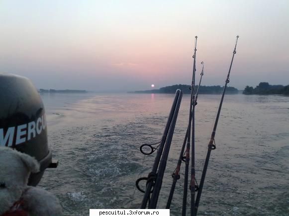 pescar hoinar dabuleni august apus perfect
