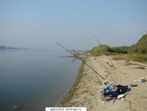 pescuit dunare zona teleorman MEMBRU DE ONOARE